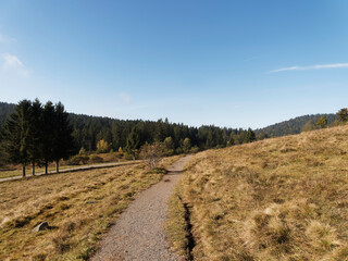 Fototapeta na wymiar Naturpark Südschwarzwald. Ibach im Hotzenwald. Ibacher Panoramaweg