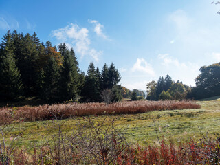 Ibach im Hotzenwald. Naturpark Südschwarzwald. Baden-Württemberg. Wälder und kleine Hochmoore,...