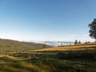 Ibach im Hotzenwald. Naturpark Südschwarzwald. Baden-Württemberg. Wälder und kleine Hochmoore,...