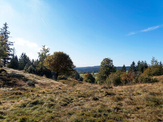 Naturpark Südschwarzwald. Ibach im Hotzenwald Baden-Württemberg. Ibacher Panoramaweg zwischen...