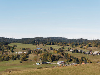 Fototapeta premium Ibach im Hotzenwald Südschwarzwald. Schwandwald und Kirschspielwald-Ibacher Moss. Naturpark Dörfer Oberibach und Unteribach, Weiler Mutterslehen, Gehöft Lindau, Haus Ibachersäge und Wüstung Neuenzell