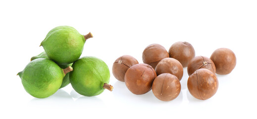 fresh macadamia nuts isolated on white