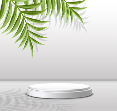 3d realistic vector showcase for cosmetics and products. White podium on gray background with tropical palms. © Real Vector