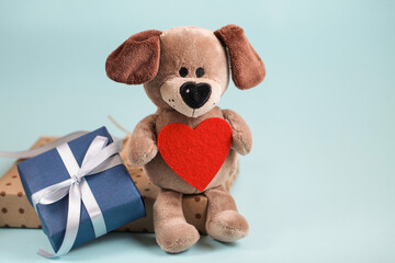 Valentines day. Plush Soft Toy dog with red heart gift box on blue background. Concept Donation, Life Saving, Charity. copy space