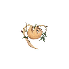 cute sloth hanging on a branch with pink flowers for valentine's day