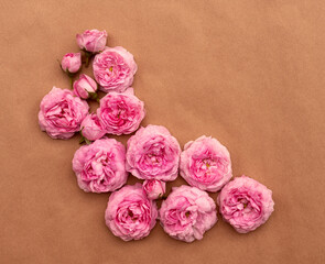 greeting card with colorful roses with copy space