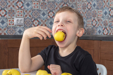 Caucasian boy 7 years old eats sweet yellow apples in the kitchen