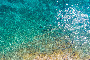 Fototapeta na wymiar Diving in crystal clear sea drone photo near village of Stomorska on Šolta Island in Croatia in summer