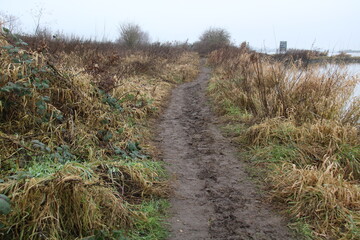 path in the grass