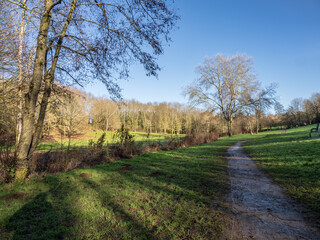 Obraz premium trees in the park