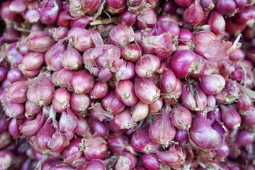 Piles of shallots or onions harvested by local farmers that are ready to be sold at the market or on the roadside directly to buyers.