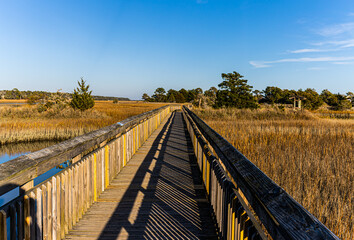 Boardwalk Trail On The Cherry Grove Marsh, Heritage Nature Preserve, Myrtle Beach, South Carolina,...