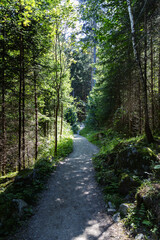 The San Francesco trail and the Riva waterfalls in South Tyrol