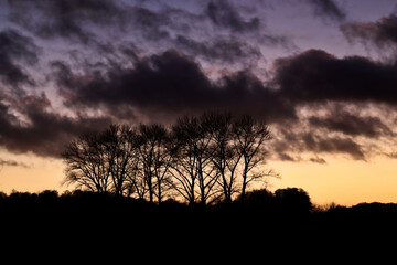 Cloud tangle