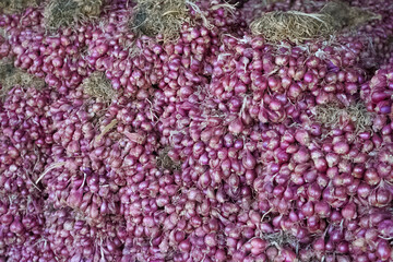 Piles of shallots or onions harvested by local farmers that are ready to be sold at the market or...