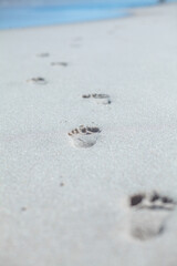 footprint in sand