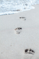 Pegadas na praia