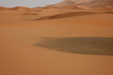 Fototapeta na wymiar Deserto del centro Africa . Zona del Marocco