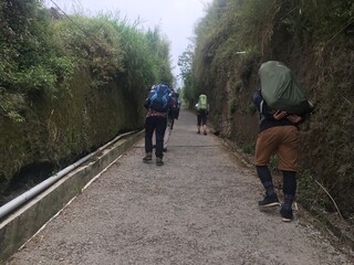 Obraz premium cycling in the woods