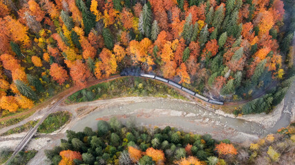 Moving steam train Mocanita, Romania