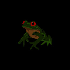 frog vector illustration