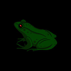 frog vector illustration