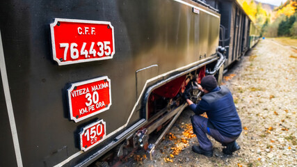 Steam train Mocanita at a railway station, Romania