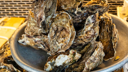 Shellfish counter at a market in Cannes, France