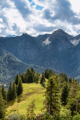 Blick vom Wanderweg zwischen vorderen und hinteren Rauschberg (bei Ruhpolding) Richtung Chiemgauer Alpen