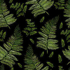 Watercolor Seamless pattern with different  ferns.