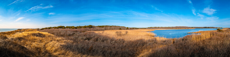 Hilly coastal sand dunes covered with bare tree bushes and golden grasses. Pristine landscape of wildlife sanctuary lagoon next to the South Cape Beach in the Atlantic Ocean. Aerial view panorama.