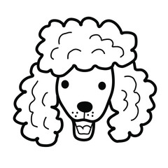 Poodle dog. Muzzle face of Poodle in doodle sketch style. Outline of the pet's head. Stock vector illustration drawn by hand.