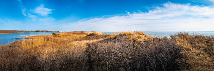Dramatic clouds in the blue sky, lagoon, and ocean, and bare bushes and golden grasses on the hilly...