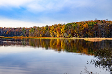 Fototapeta na wymiar Autumn in Pocahontas Park in Virginia