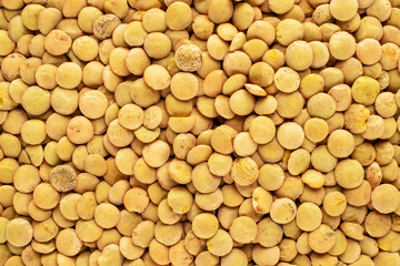 Uncooked organic green lentils , macro, top view.