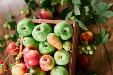 Harvest or autumn concept. Farmer's market, agricultural or organic fruits concept. Red and green apples with green foliage in a deep box on wooden surface. High quality photo