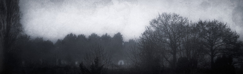 Obraz na płótnie Canvas Sombre brouillard 