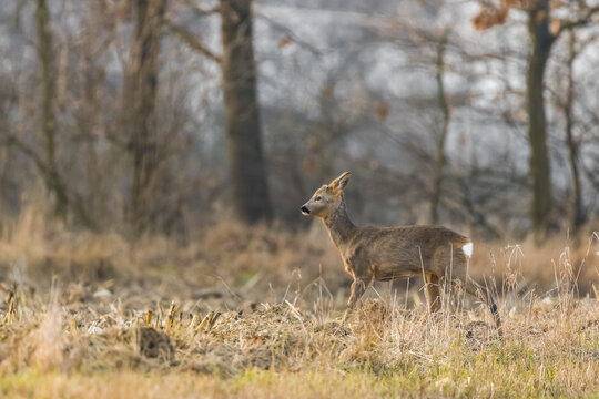 Photo by: Piotr Kobialka (https://www.instagram.com/invites/contact/?i=1|495hxywuve0&utm_content=3pyuqde)