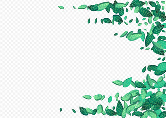 Swamp Leaf Blur Vector Transparent Background