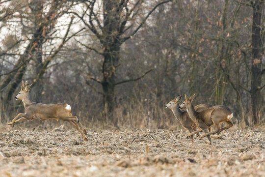 Photo by: Piotr Kobialka (https://www.instagram.com/invites/contact/?i=1|495hxywuve0&utm_content=3pyuqde)