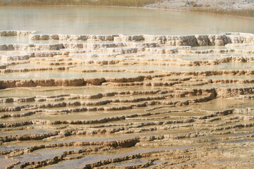 Close-up of Angel Terrace, Yellowstone National Park, Wyoming