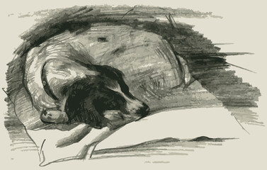 Pencil sketch of sleeping spaniel dog
