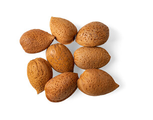 Unpeeled almonds cutout. Whole ushelled almond nuts isolated on a white background. Macro of prunus amygdalus fresh tasty fruits. Antioxidant, vegetarian, healthy eating concepts.