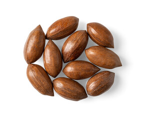 Unshelled pecan nuts isolated on a white background. Group of whole unpeeled pecans cutout. Macro of Carya illinoinensis tree fresh tasty fruits. Antioxidant, healthy eating concepts.