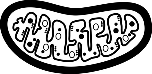 Obraz premium Coloring page with structure of mitochondrion isolated on white background