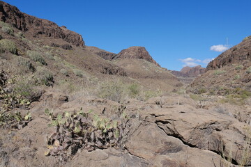 Gran Canaria: Halbwüste Barranco de Fataga