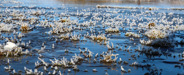 Beautiful ice crystals on plants during frosts on a frozen river. Natural background with hoarfrost on the grass. Cold Weather. Winter nature. Wide panorama. Selective focus.