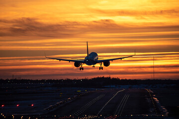 Fototapeta na wymiar Airplane landing to airport runway