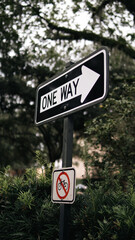 One Way Sign