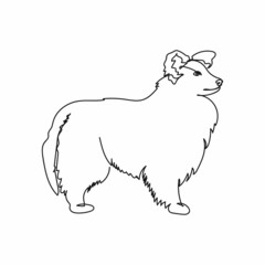 Continuous one simple single abstract line drawing of shetland sheepdog icon in silhouette on a white background. Linear stylized.